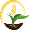 Agriculture Products analysis test hitechlab.org